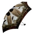 Legend Of The Sky Mini Folding Umbrellas View2