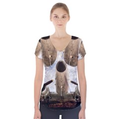 Legend Of The Sky Short Sleeve Front Detail Top by FunnyCow