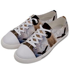 Legend Of The Sky Women s Low Top Canvas Sneakers