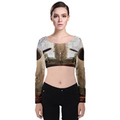 Legend Of The Sky Velvet Crop Top by FunnyCow