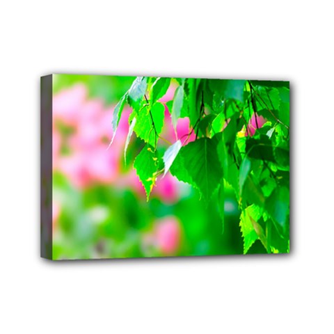 Green Birch Leaves, Pink Flowers Mini Canvas 7  X 5  by FunnyCow