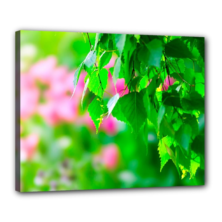 Green Birch Leaves, Pink Flowers Canvas 20  x 16 