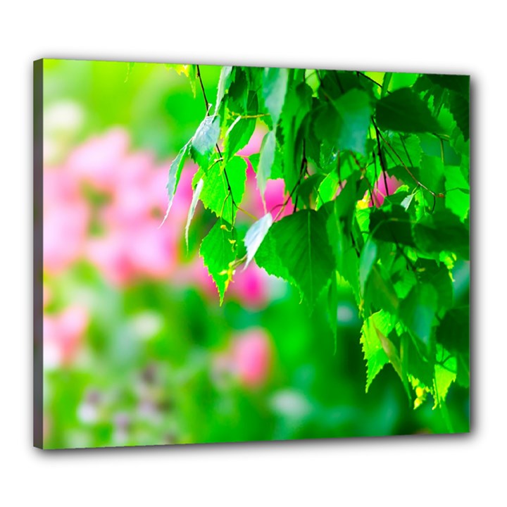 Green Birch Leaves, Pink Flowers Canvas 24  x 20 