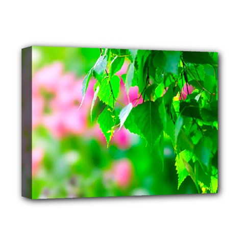 Green Birch Leaves, Pink Flowers Deluxe Canvas 16  x 12  