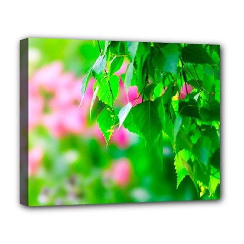 Green Birch Leaves, Pink Flowers Deluxe Canvas 20  x 16  