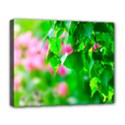 Green Birch Leaves, Pink Flowers Deluxe Canvas 20  x 16   View1