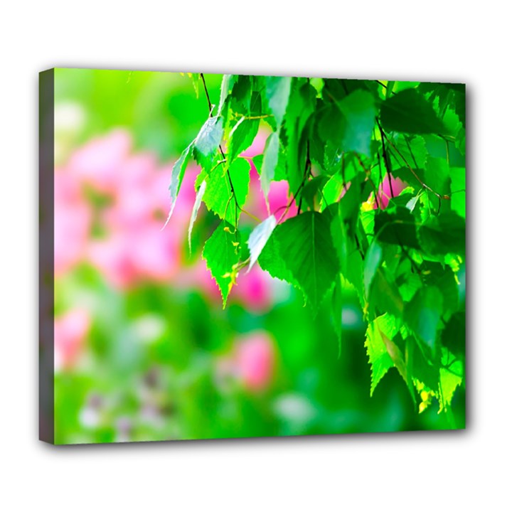 Green Birch Leaves, Pink Flowers Deluxe Canvas 24  x 20  