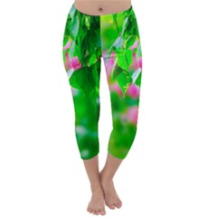 Green Birch Leaves, Pink Flowers Capri Winter Leggings 