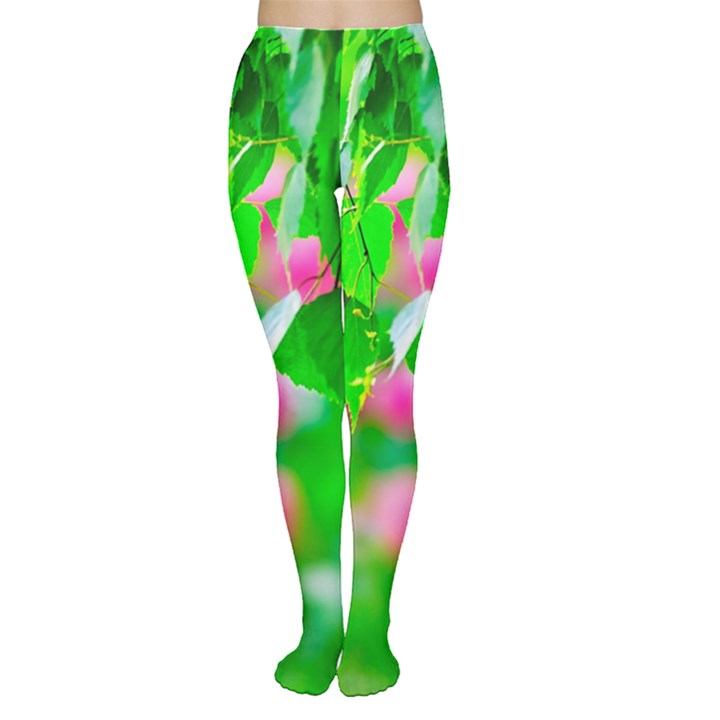 Green Birch Leaves, Pink Flowers Women s Tights