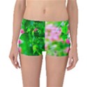 Green Birch Leaves, Pink Flowers Boyleg Bikini Bottoms View1