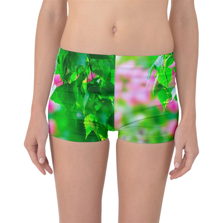 Green Birch Leaves, Pink Flowers Boyleg Bikini Bottoms