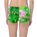 Green Birch Leaves, Pink Flowers Boyleg Bikini Bottoms View2