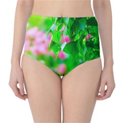 Green Birch Leaves, Pink Flowers Classic High-Waist Bikini Bottoms