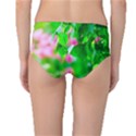 Green Birch Leaves, Pink Flowers Mid-Waist Bikini Bottoms View2