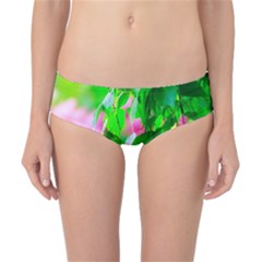 Green Birch Leaves, Pink Flowers Classic Bikini Bottoms