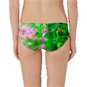 Green Birch Leaves, Pink Flowers Classic Bikini Bottoms View2