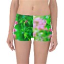 Green Birch Leaves, Pink Flowers Reversible Boyleg Bikini Bottoms View1