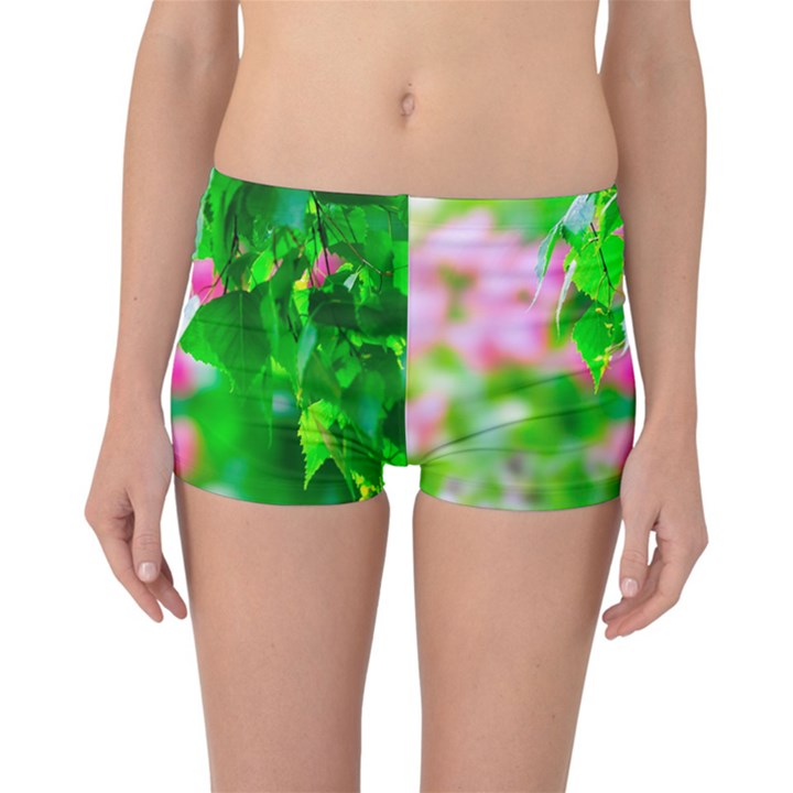 Green Birch Leaves, Pink Flowers Reversible Boyleg Bikini Bottoms