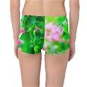 Green Birch Leaves, Pink Flowers Reversible Boyleg Bikini Bottoms View4