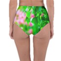 Green Birch Leaves, Pink Flowers Reversible High-Waist Bikini Bottoms View4