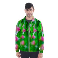 Green Birch Leaves, Pink Flowers Windbreaker (Men)