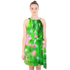 Green Birch Leaves, Pink Flowers Halter Collar Waist Tie Chiffon Dress