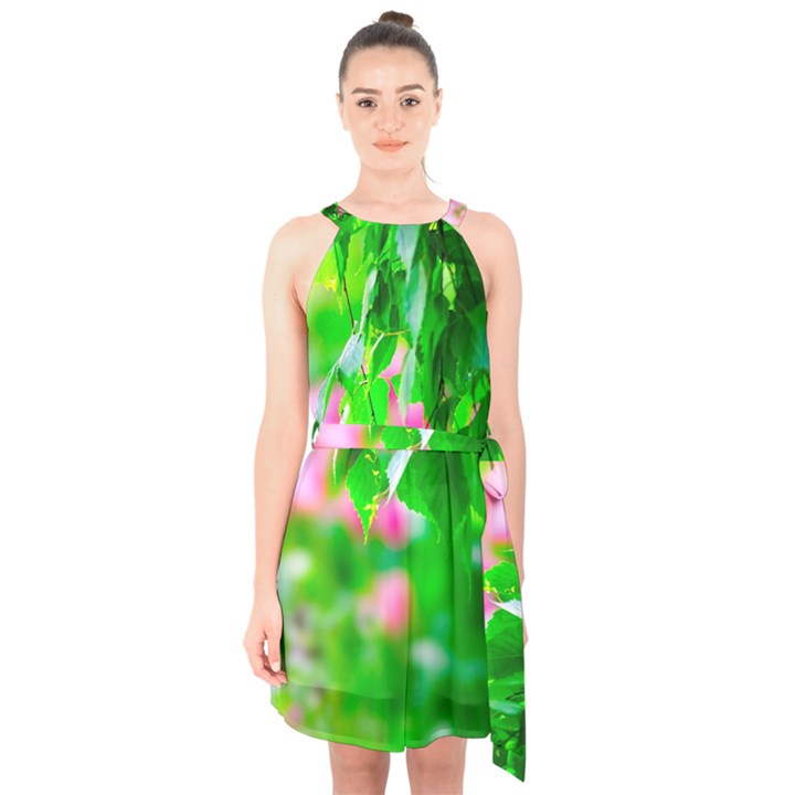 Green Birch Leaves, Pink Flowers Halter Collar Waist Tie Chiffon Dress