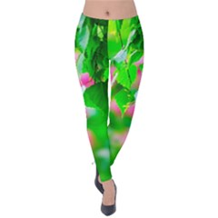 Green Birch Leaves, Pink Flowers Velvet Leggings