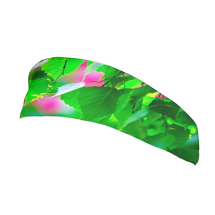 Green Birch Leaves, Pink Flowers Stretchable Headband