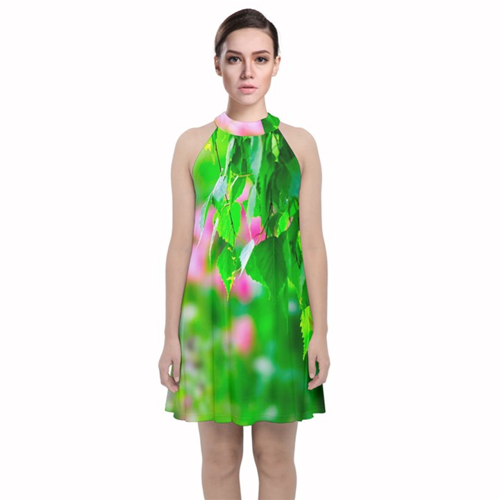 Green Birch Leaves, Pink Flowers Velvet Halter Neckline Dress 