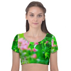 Green Birch Leaves, Pink Flowers Velvet Short Sleeve Crop Top  by FunnyCow