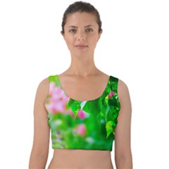 Green Birch Leaves, Pink Flowers Velvet Crop Top