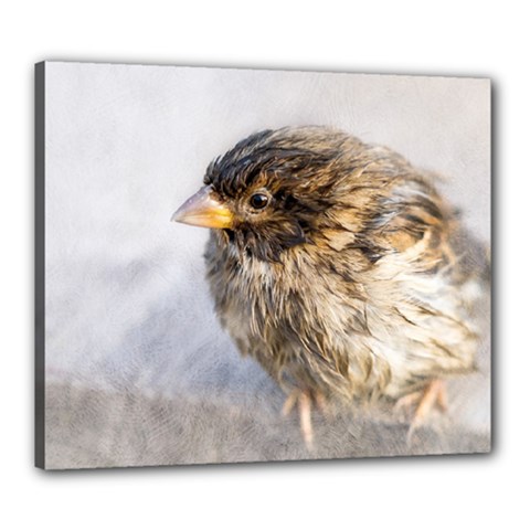 Funny Wet Sparrow Bird Canvas 24  X 20  by FunnyCow