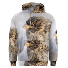 Funny Wet Sparrow Bird Men s Pullover Hoodie by FunnyCow