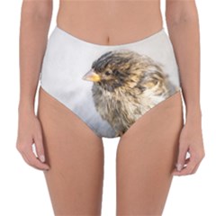 Funny Wet Sparrow Bird Reversible High-waist Bikini Bottoms by FunnyCow