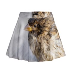 Funny Wet Sparrow Bird Mini Flare Skirt by FunnyCow