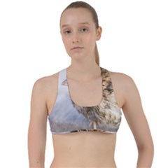 Funny Wet Sparrow Bird Criss Cross Racerback Sports Bra by FunnyCow