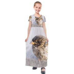 Funny Wet Sparrow Bird Kids  Short Sleeve Maxi Dress by FunnyCow