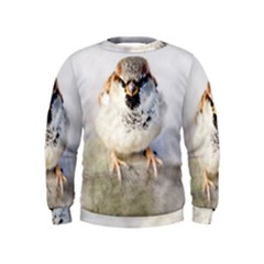 Do Not Mess With Sparrows Kids  Sweatshirt by FunnyCow