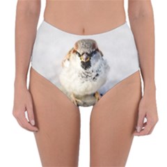 Do Not Mess With Sparrows Reversible High-waist Bikini Bottoms by FunnyCow