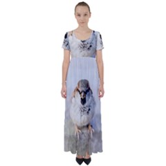 Do Not Mess With Sparrows High Waist Short Sleeve Maxi Dress by FunnyCow