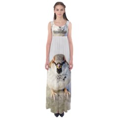 Do Not Mess With Sparrows Empire Waist Maxi Dress by FunnyCow