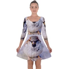 Do Not Mess With Sparrows Quarter Sleeve Skater Dress by FunnyCow