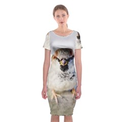 Do Not Mess With Sparrows Classic Short Sleeve Midi Dress by FunnyCow