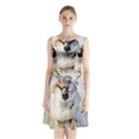 Do Not Mess With Sparrows Sleeveless Waist Tie Chiffon Dress View1