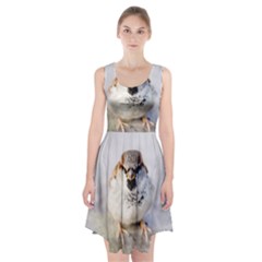 Do Not Mess With Sparrows Racerback Midi Dress by FunnyCow