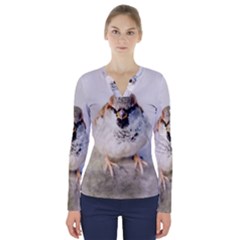 Do Not Mess With Sparrows V-neck Long Sleeve Top by FunnyCow