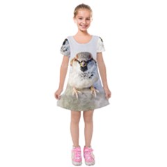 Do Not Mess With Sparrows Kids  Short Sleeve Velvet Dress by FunnyCow