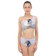 Do Not Mess With Sparrows Spliced Up Two Piece Swimsuit by FunnyCow