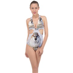 Do Not Mess With Sparrows Halter Front Plunge Swimsuit by FunnyCow